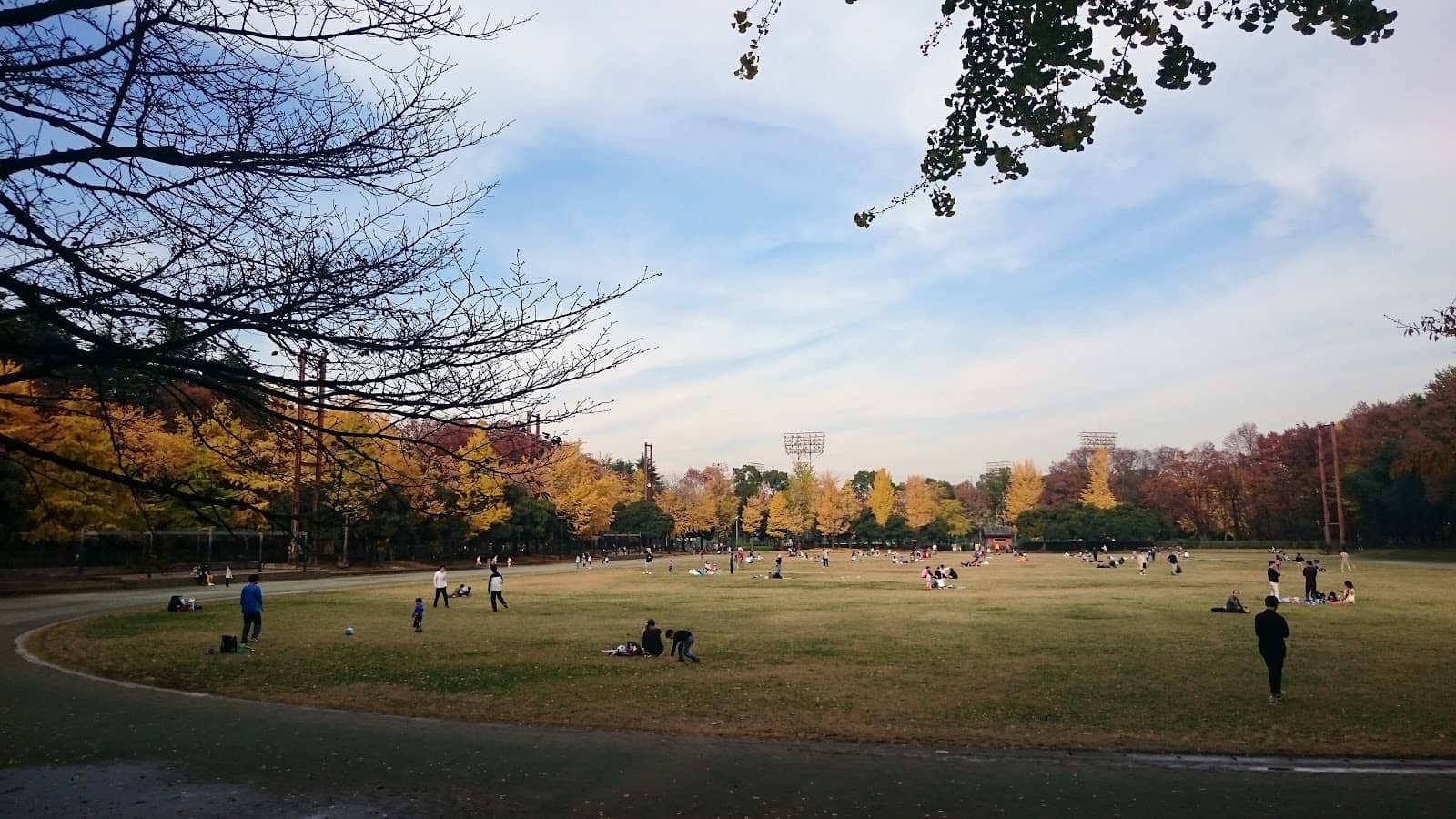Children's Playgrounds