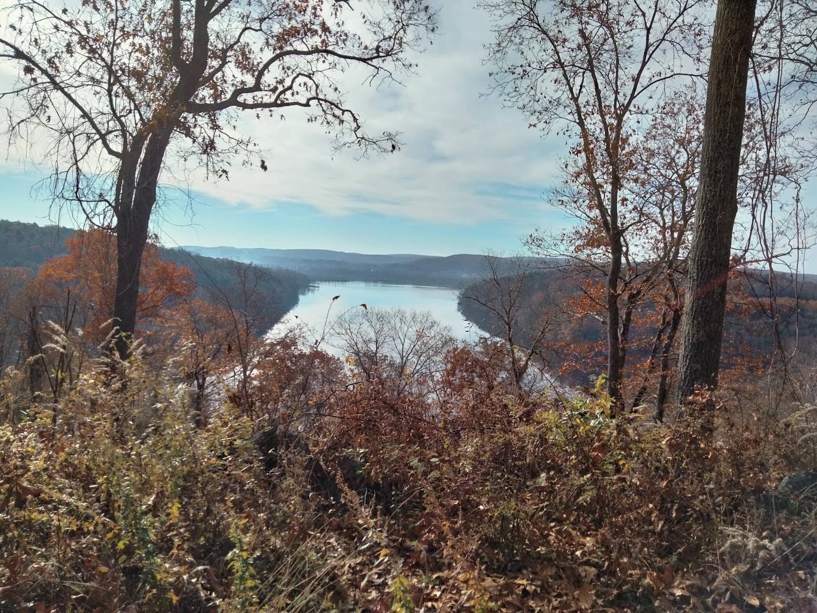Vertical photo