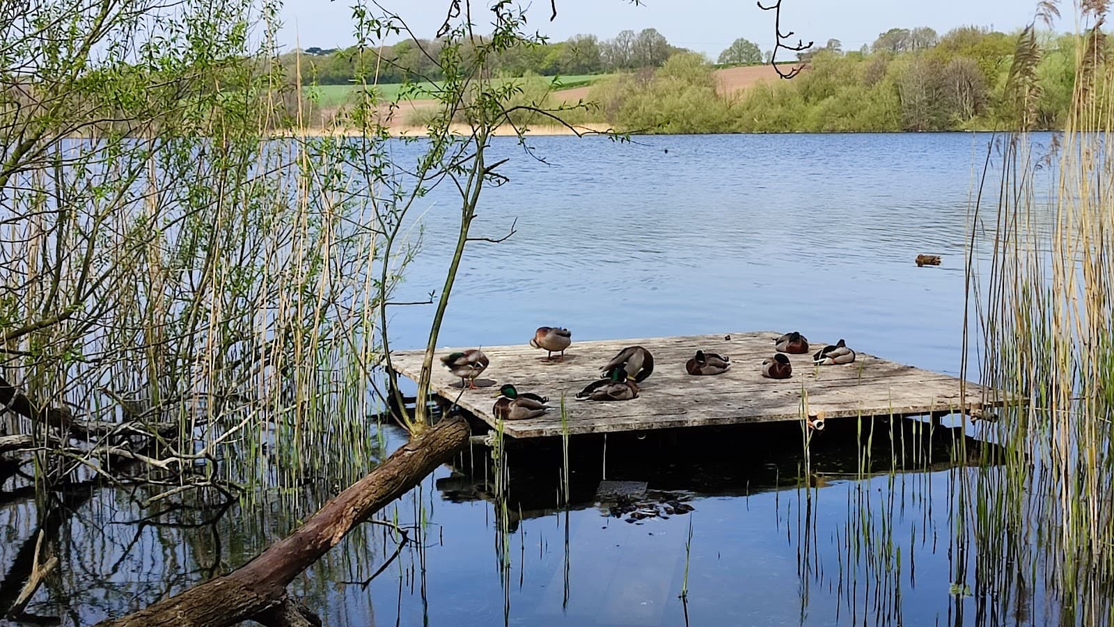 Pickmere Lake Cheshire - Image 1