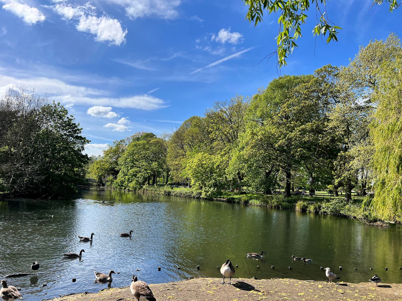 Pymmes Park - Image 1