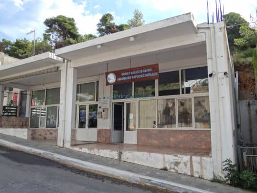 Mediterranean Monk Seal Spotting