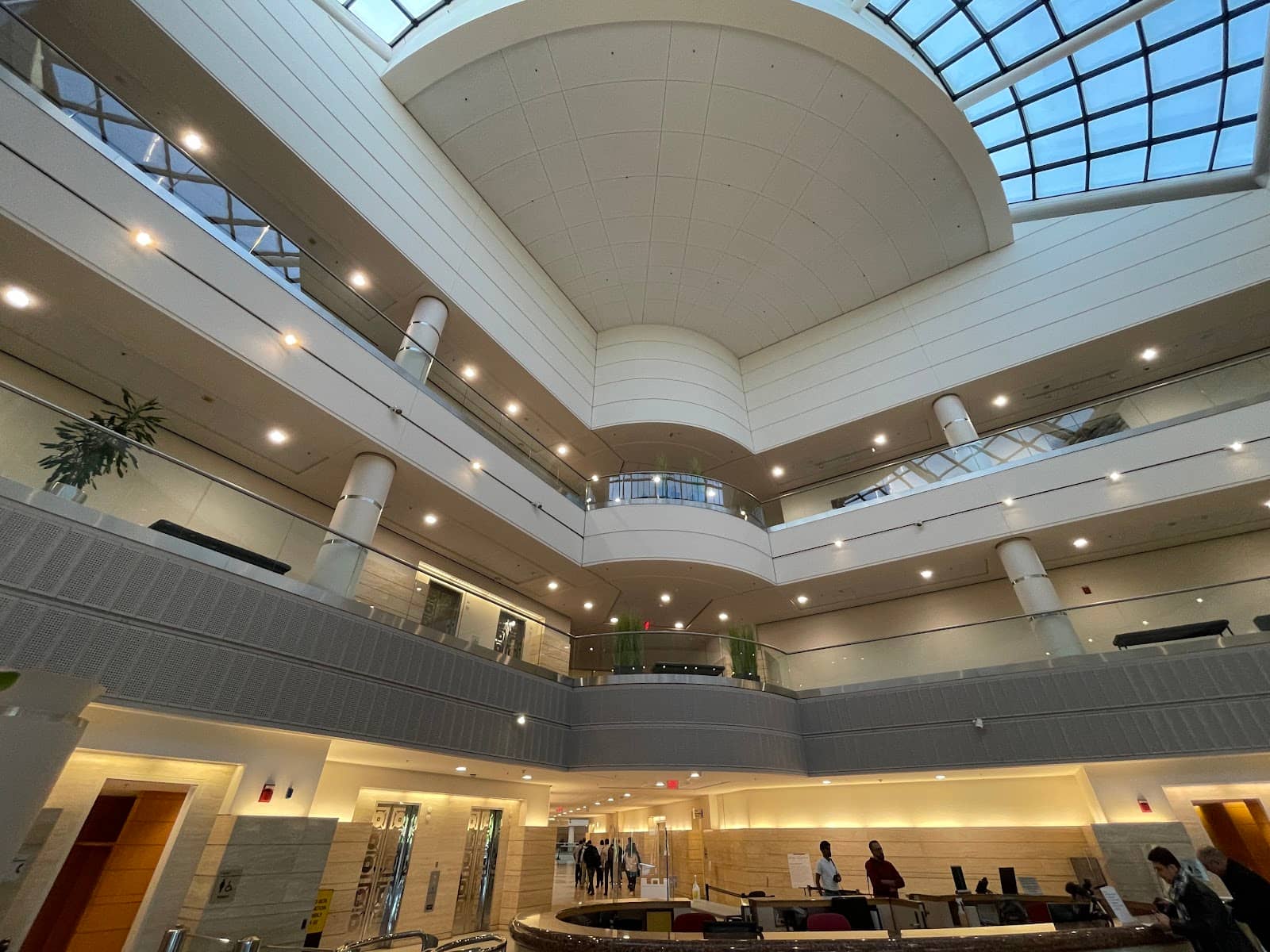 MOPAR Finance Operations