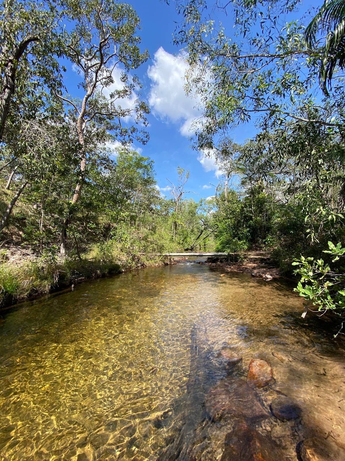 Scenic Creek Walk