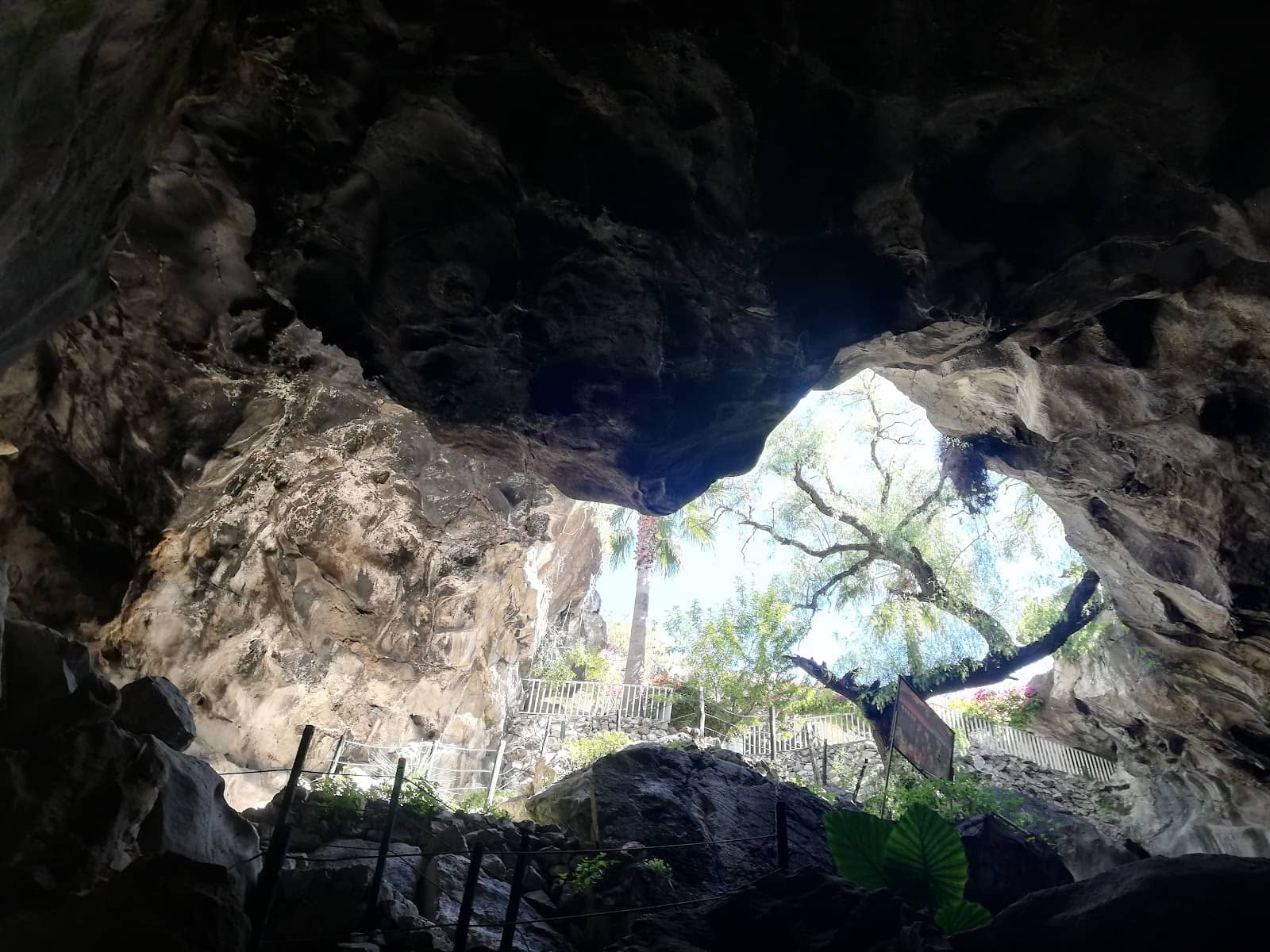 Migratory Bat Sanctuary