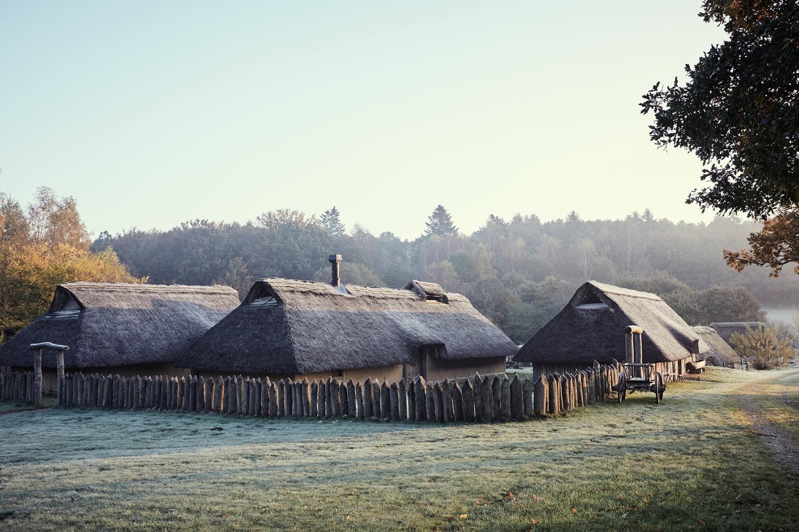 Vingsted Iron Age Site - Image 1