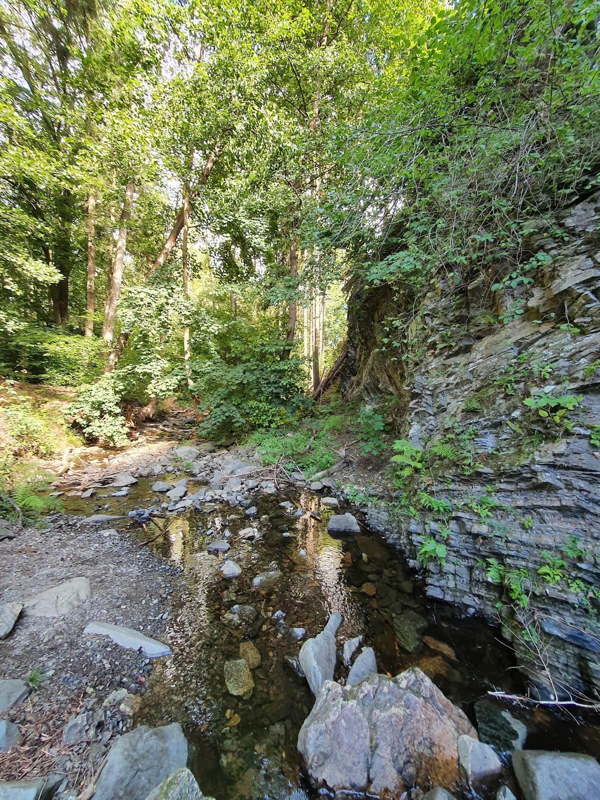 Hasserode - Image 1