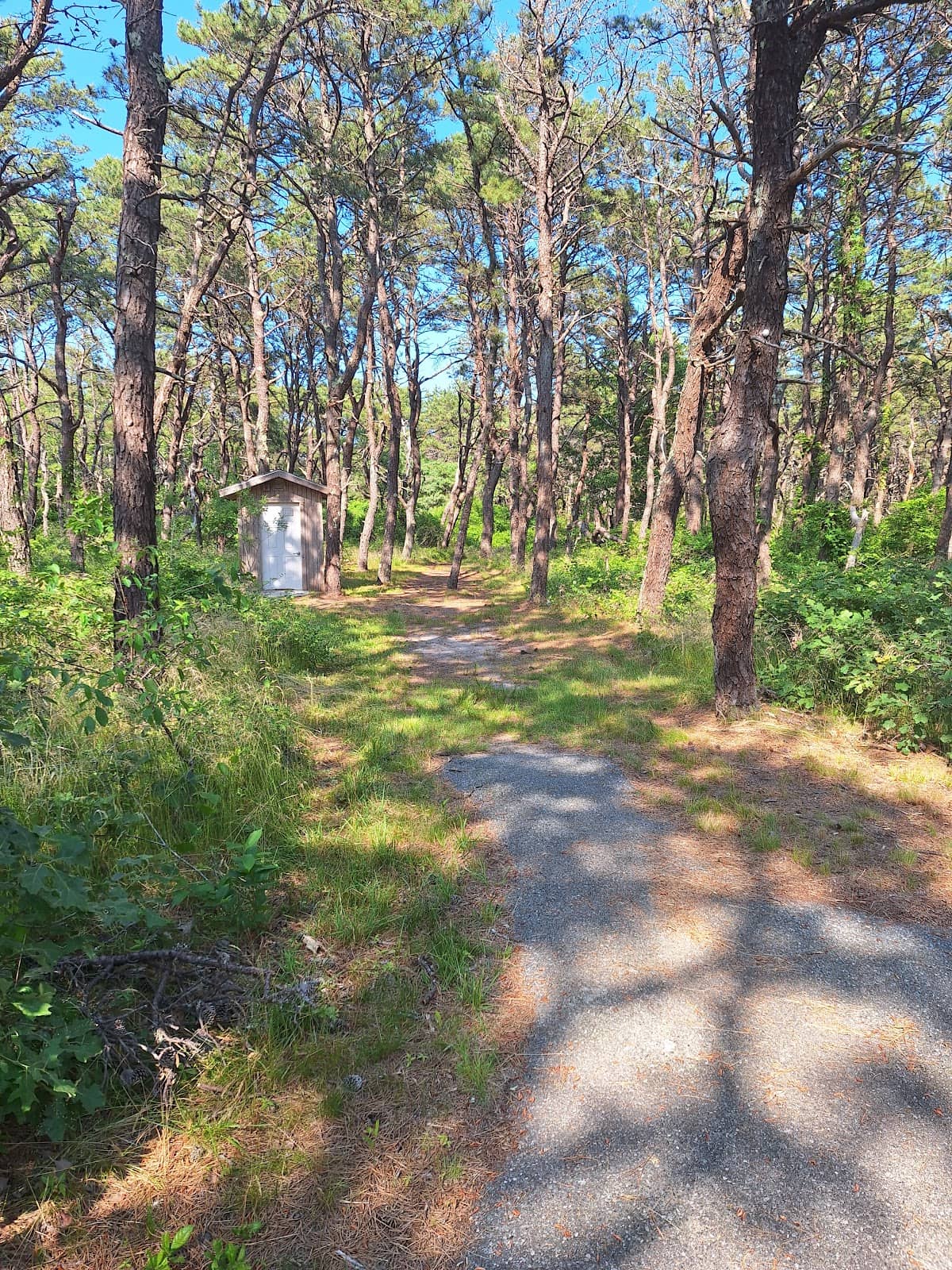 Memorial Turnaround