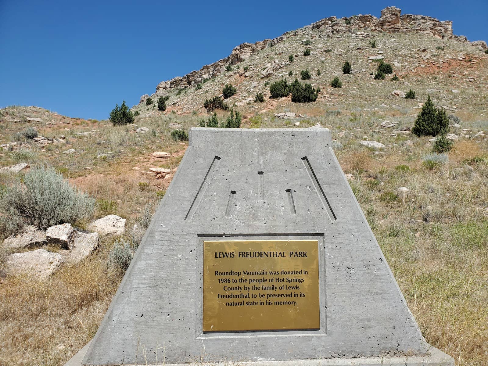 Summer Camp Adventures