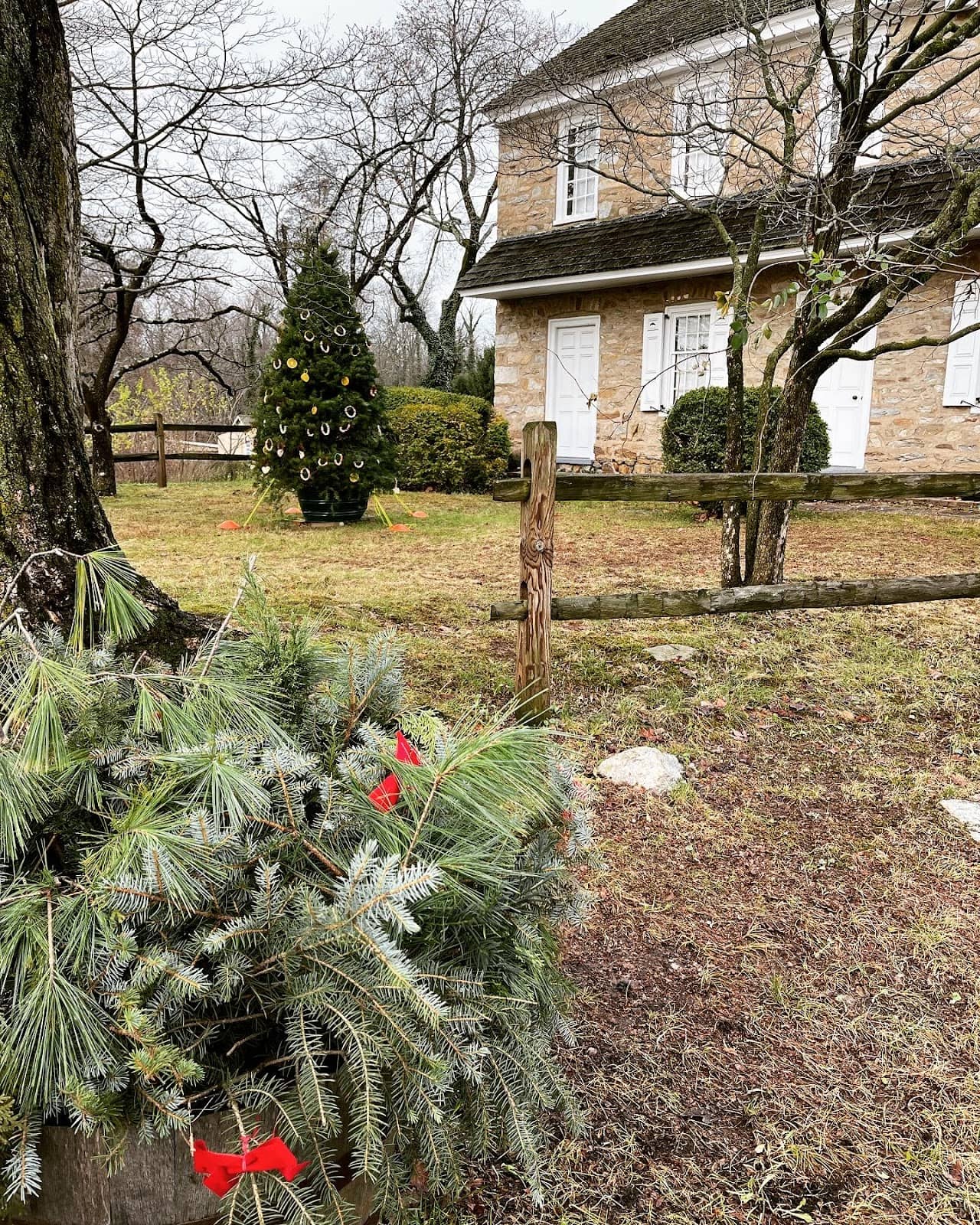 Burges-Lippincott House