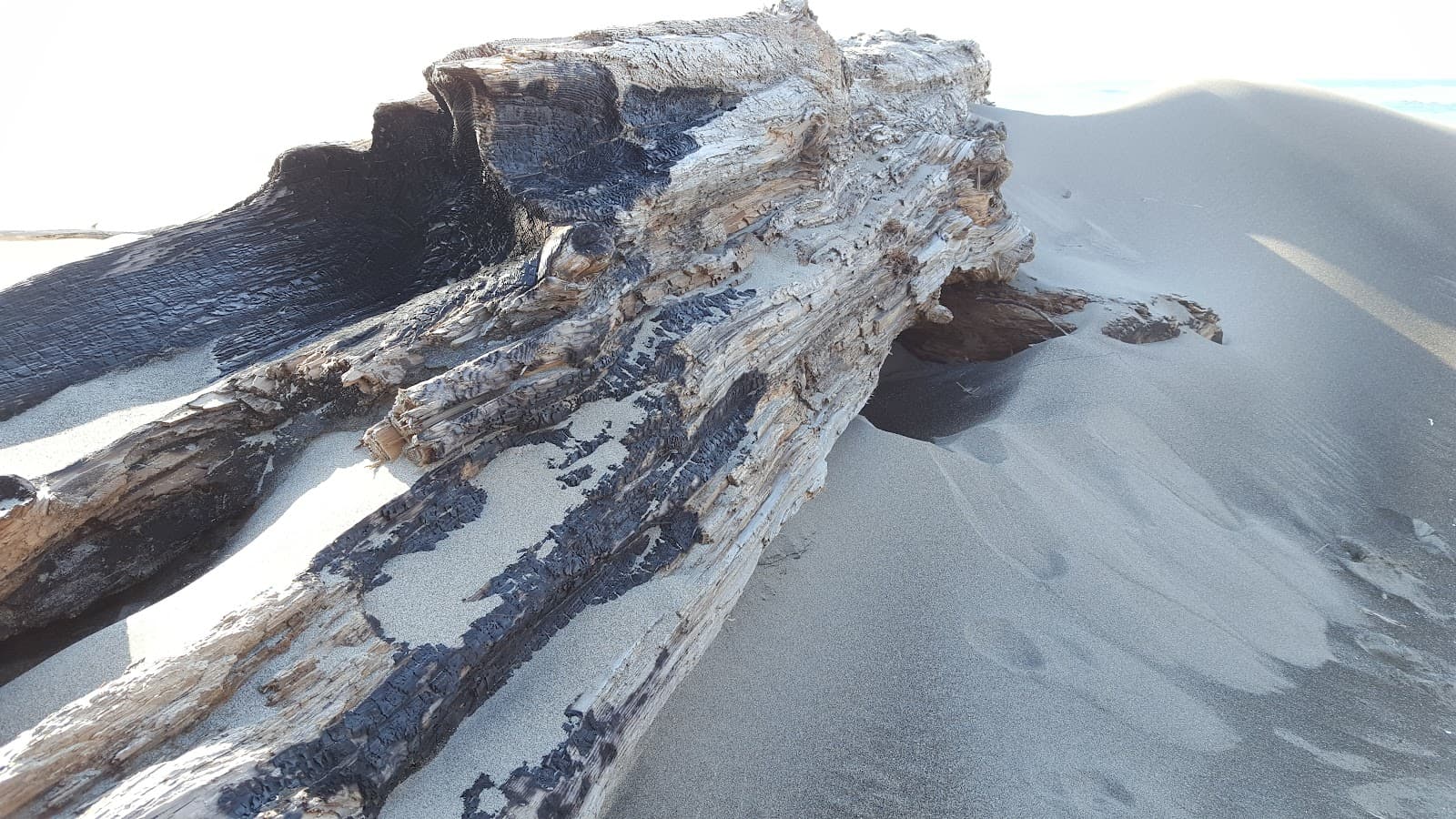 Salishan Spit - Image 1