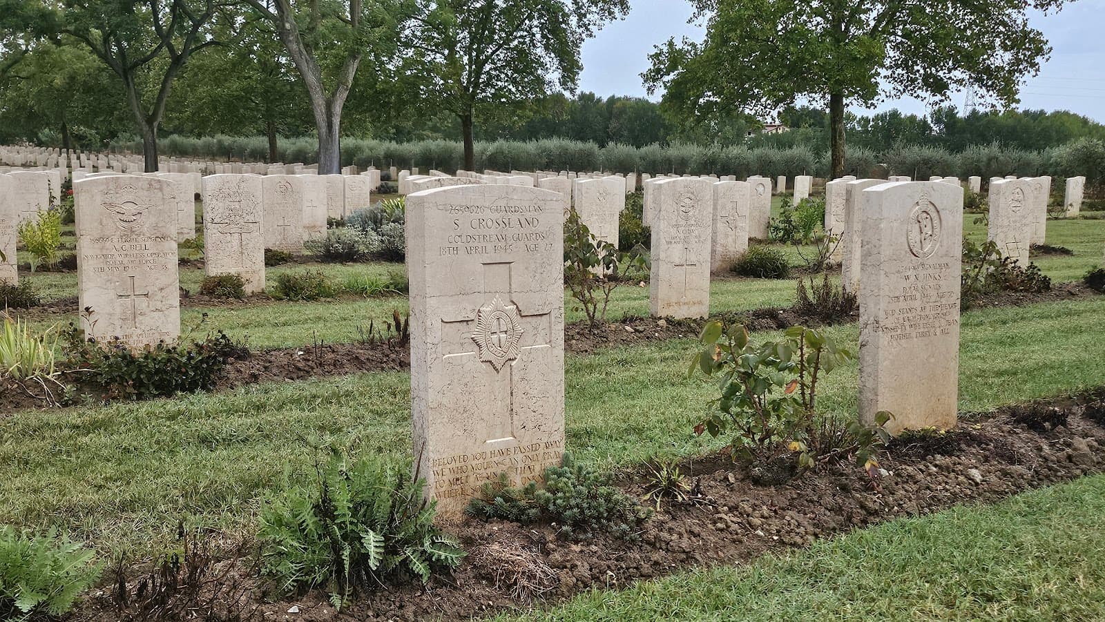 Coriano Ridge War Cemetery - Image 1