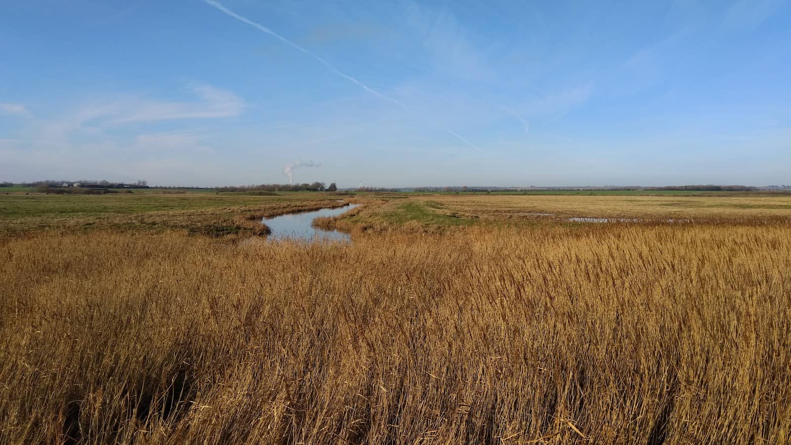 Tranquil Marshland Views
