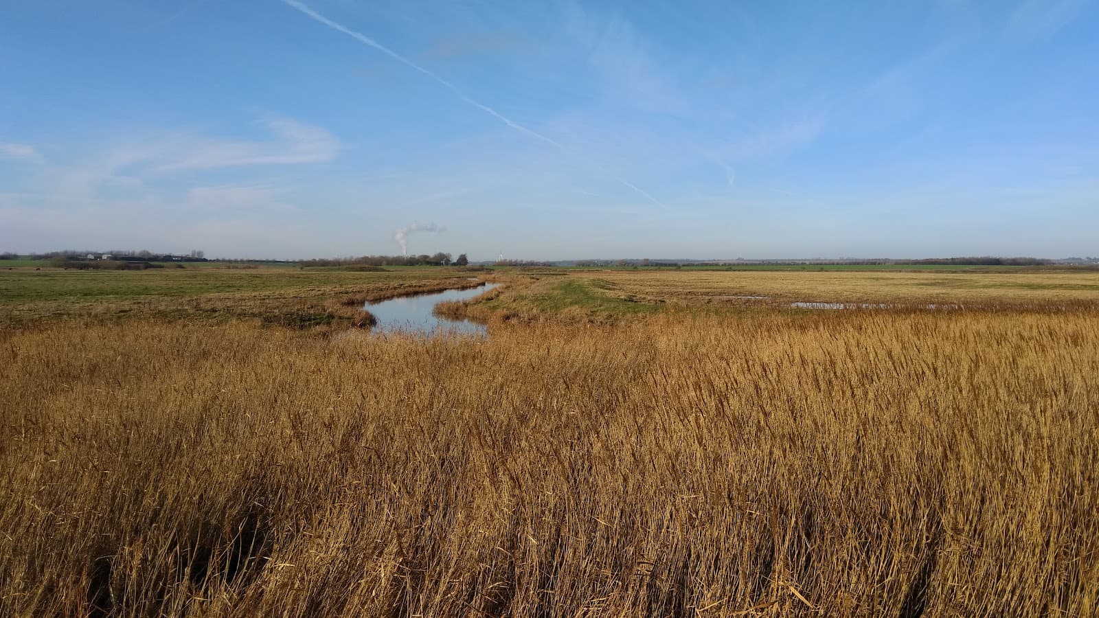 South Swale Nature Reserve - Image 1
