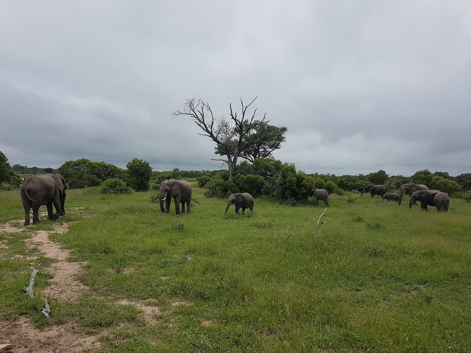 Manyeleti Game Reserve - Image 1