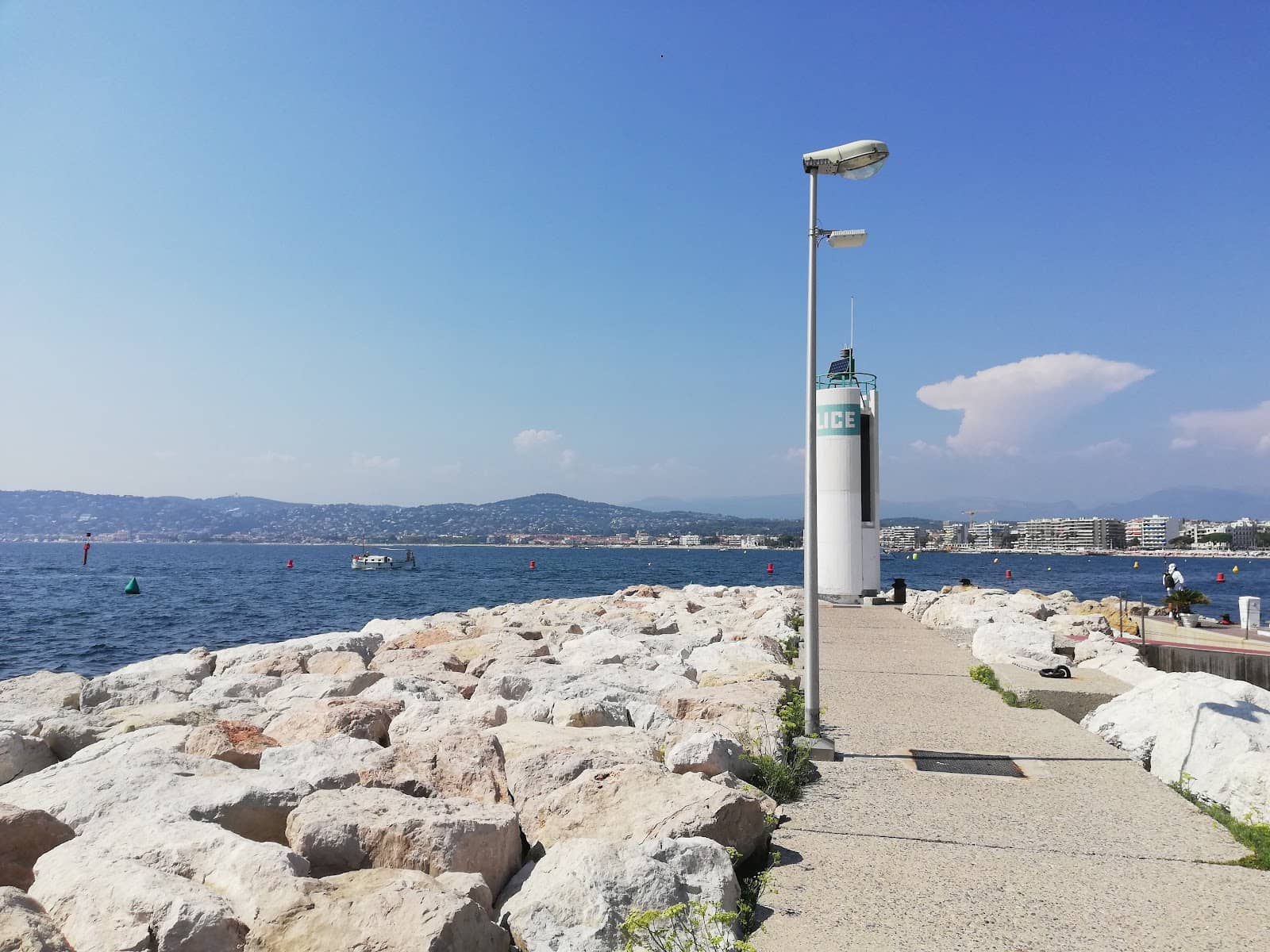 Vertical photo
