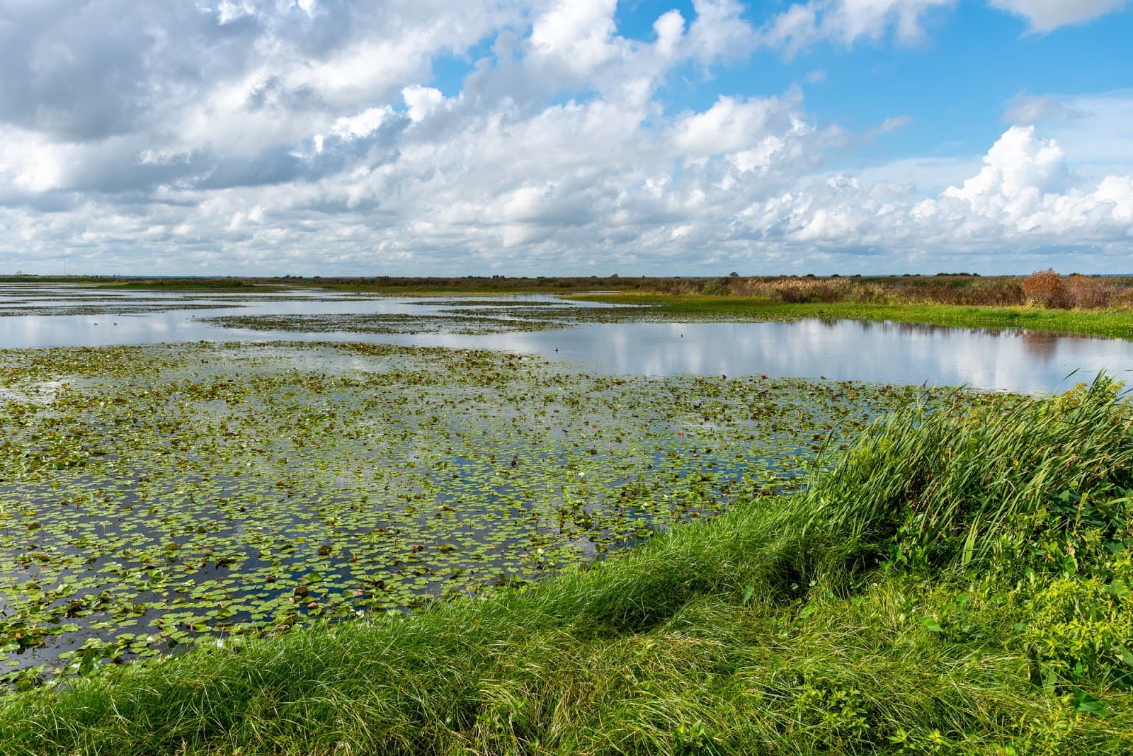 Lake Apopka North Shore - Image 1