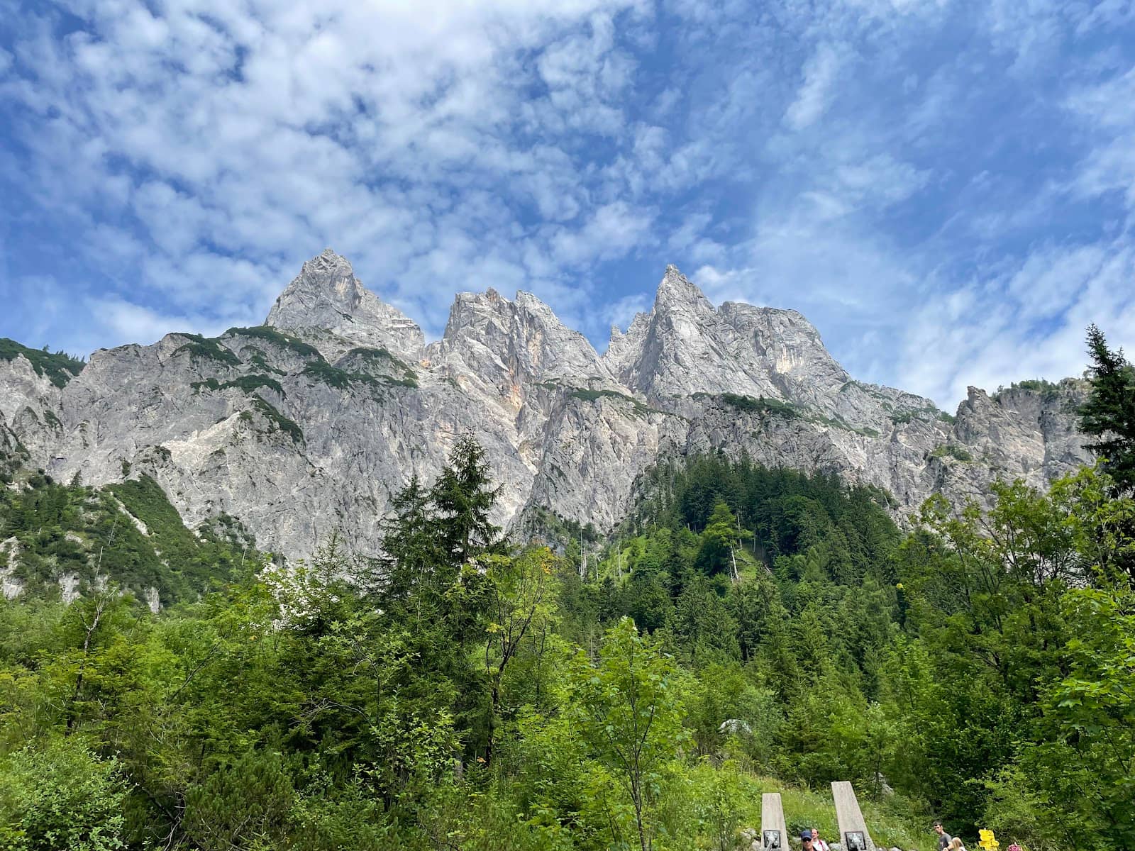 Alpine Mountain Views