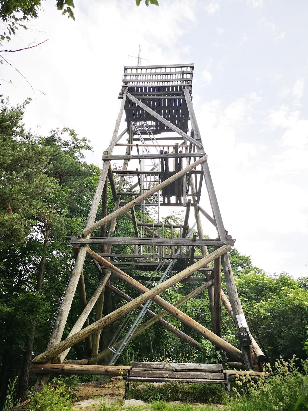 Seekopf - Image 1