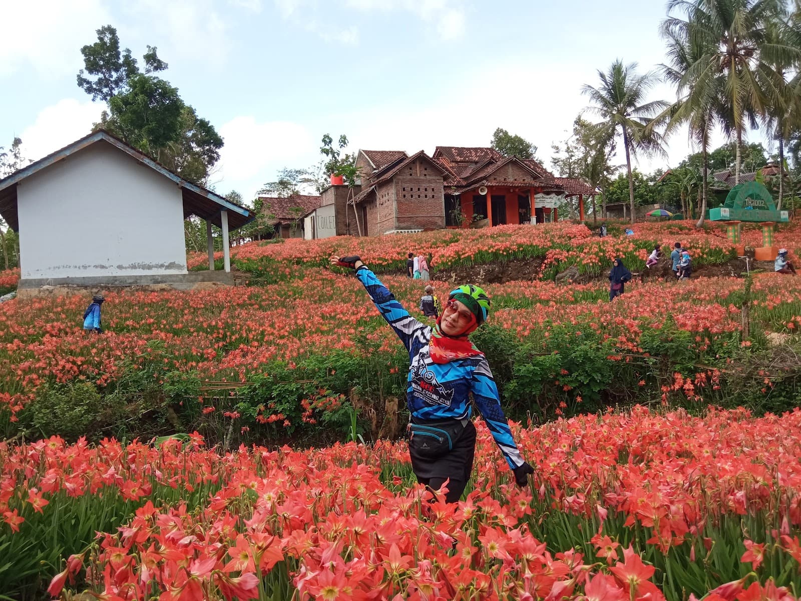 Amaryllis Flower Garden - Image 1