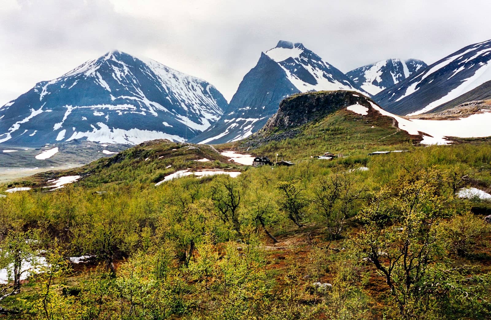 Arctic Wilderness