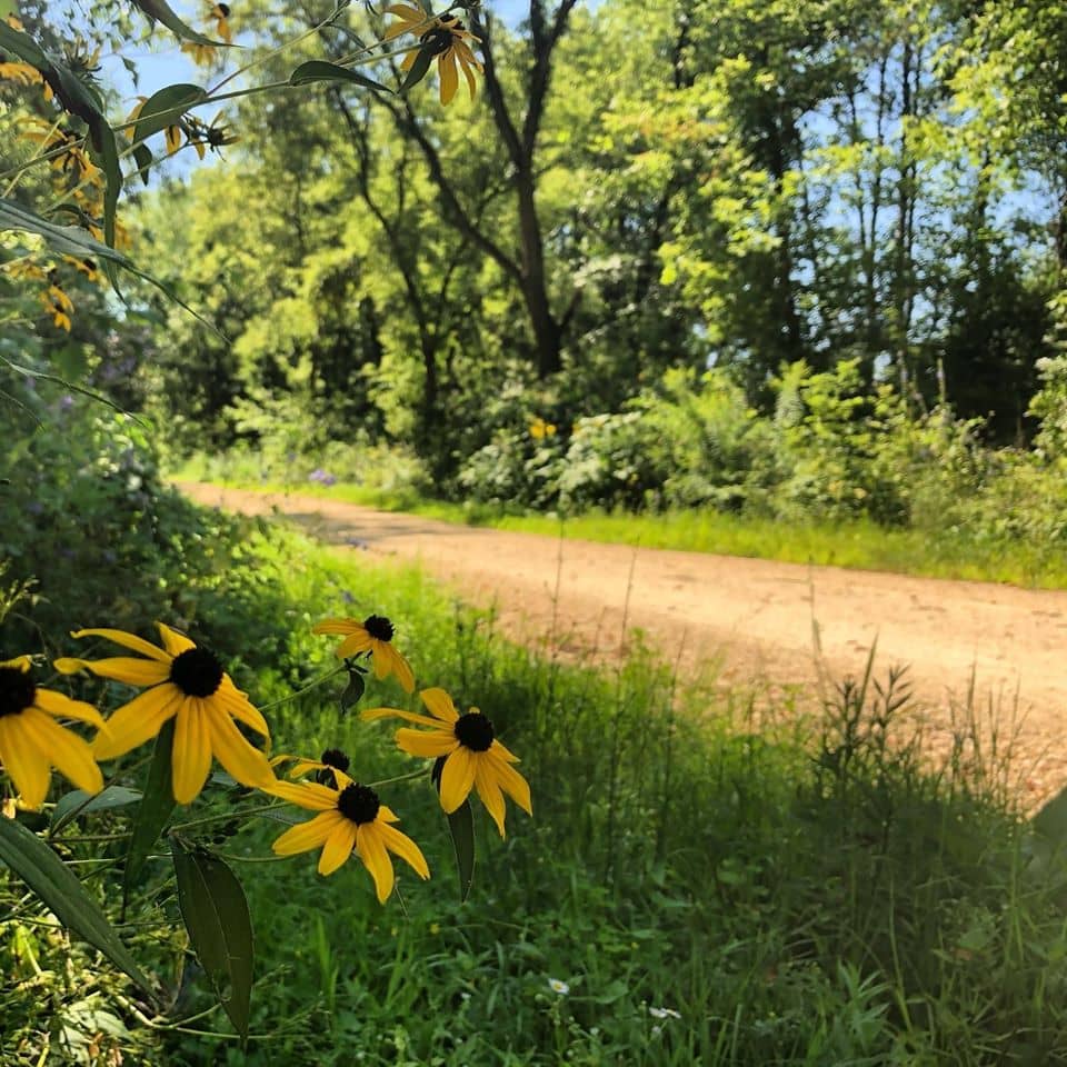 Historic 1872 Bridge