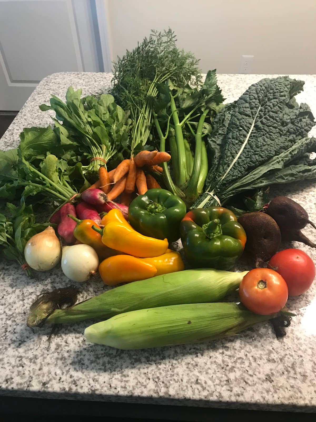 Seasonal Farm Share