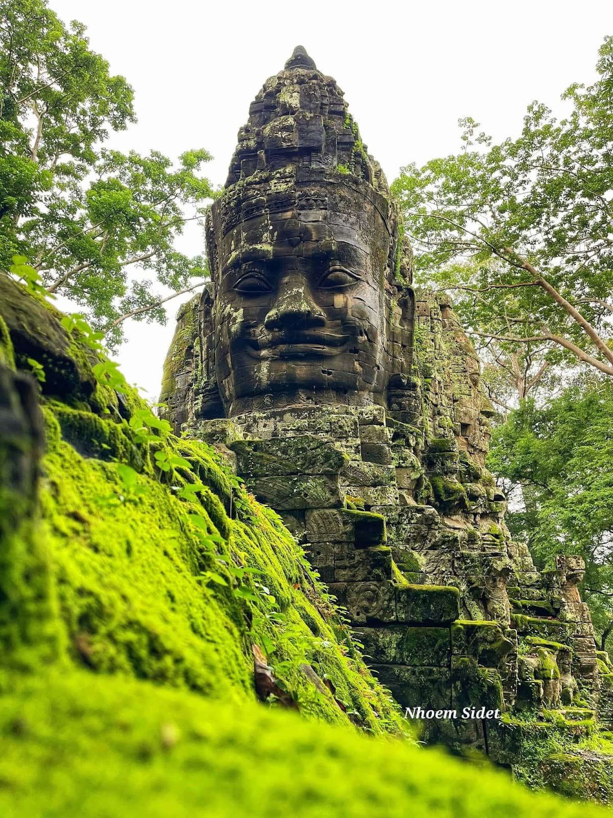 Vertical photo