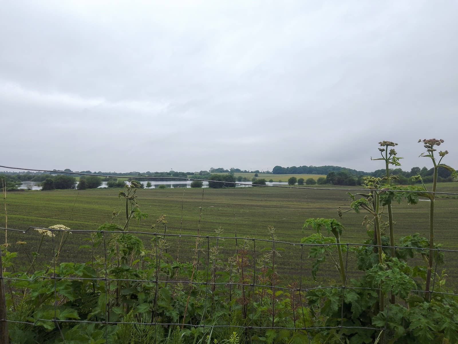 Fishing Opportunities