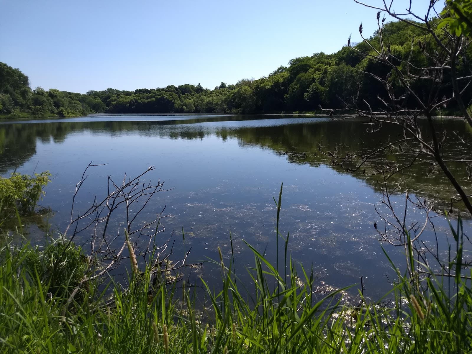 Kerber Pond Park - Image 1