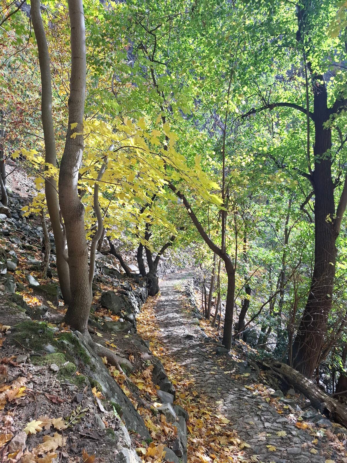 Roßtrappe Summit Reward