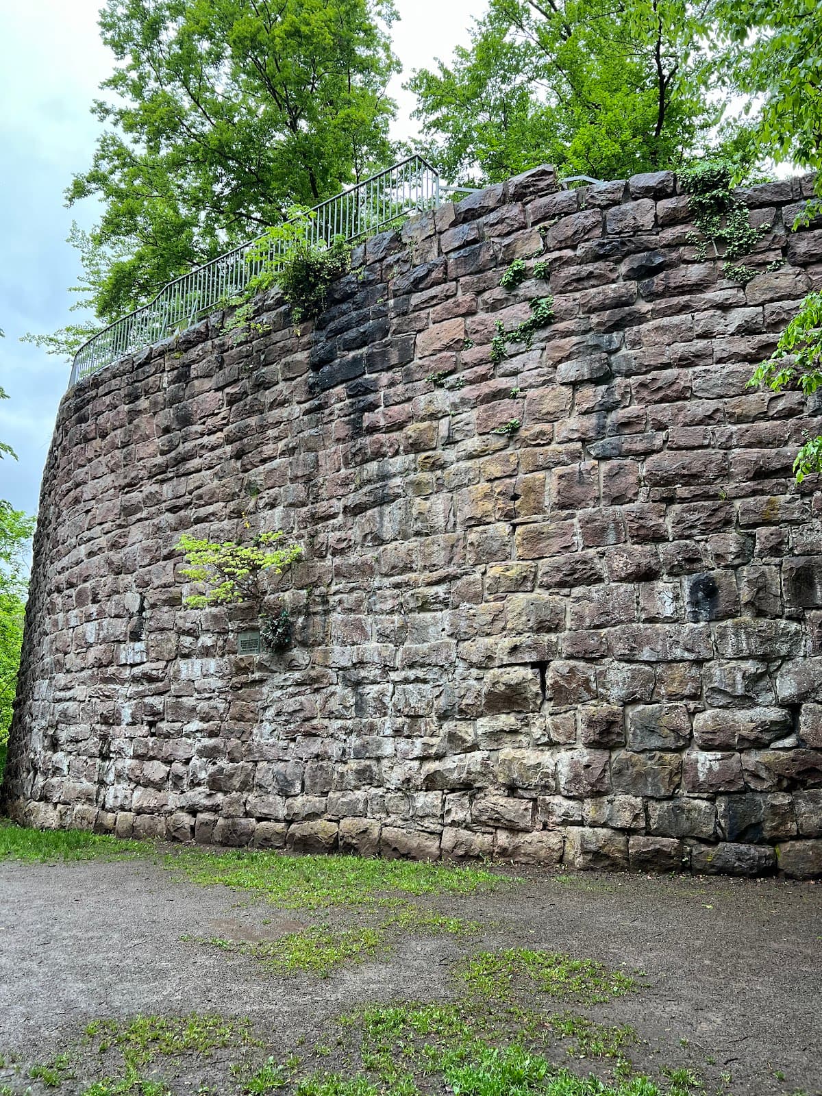 Ruine Rabeneck - Image 1