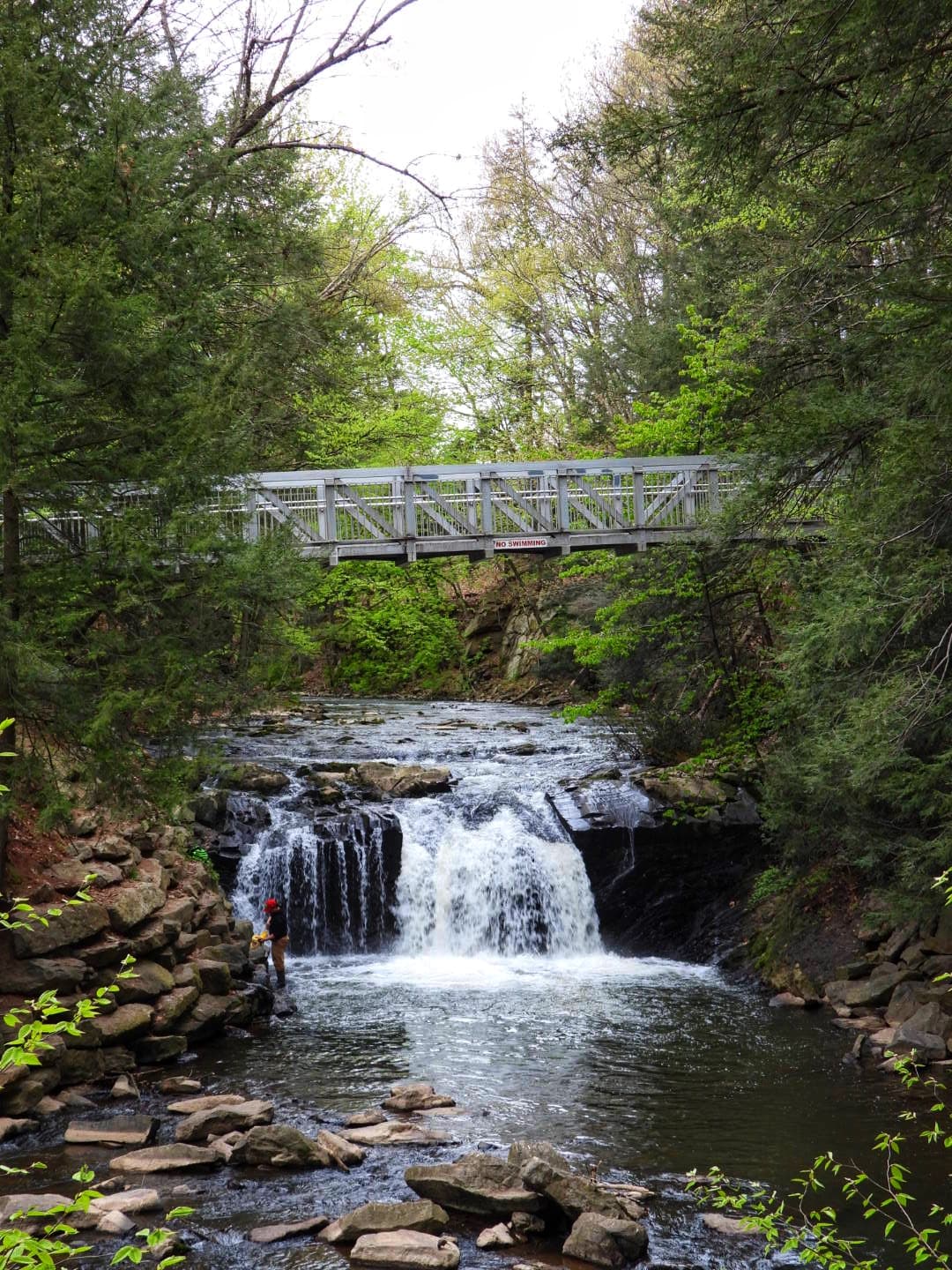 Sweet Arrow Lake County Park - Image 1
