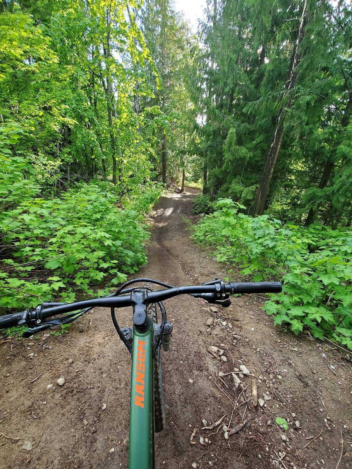 Winter Groomed Trails