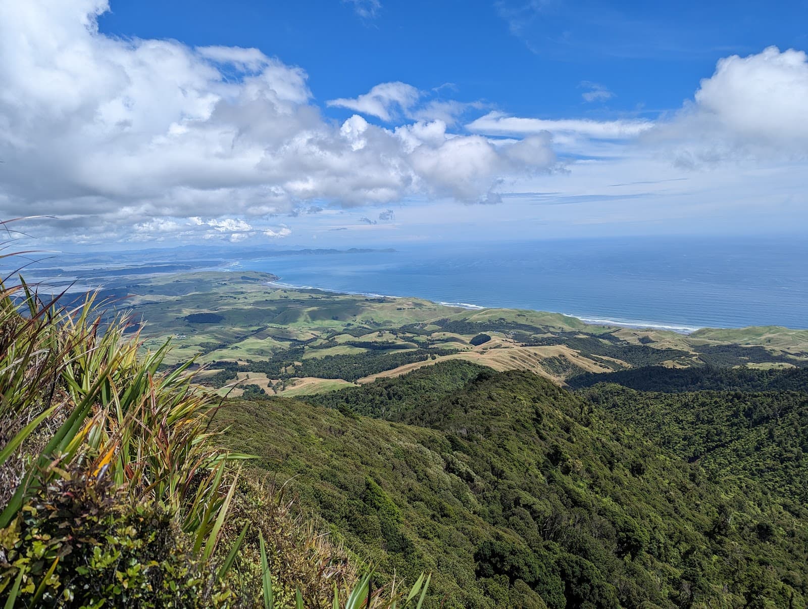Mount Karioi - Image 1