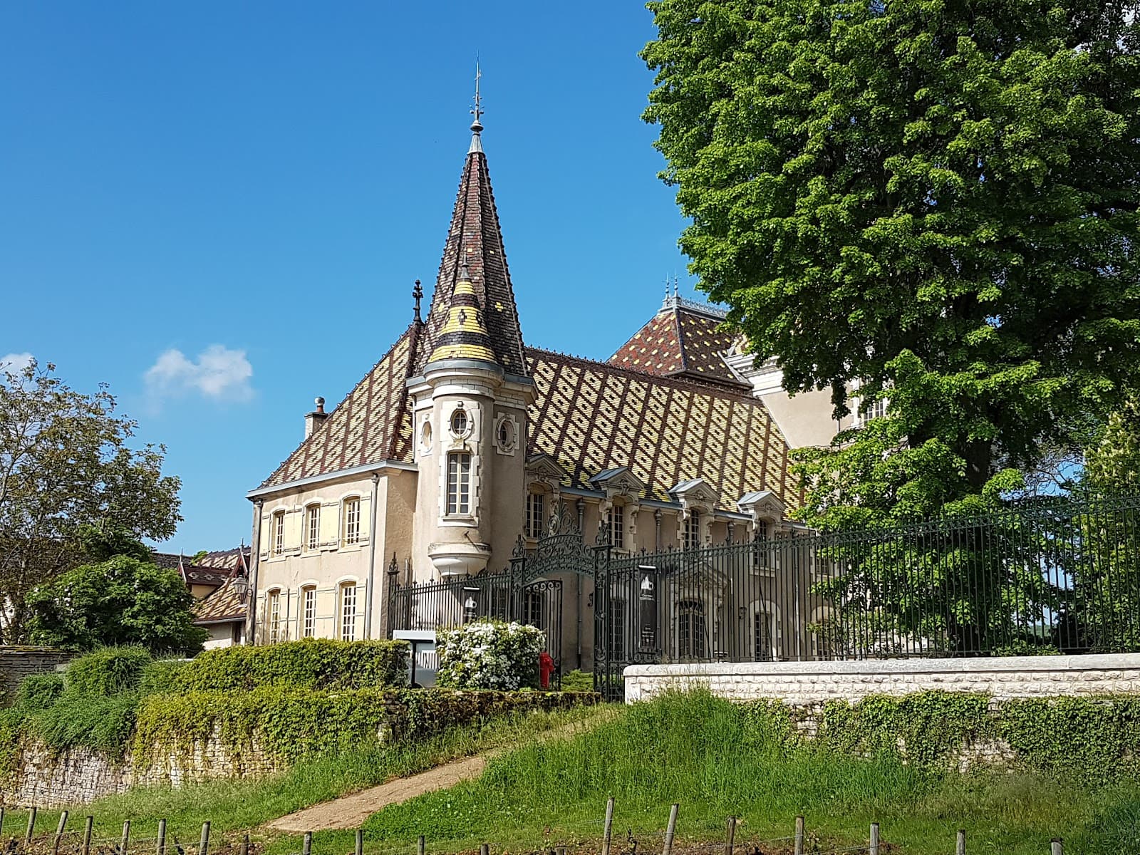 Aloxe-Corton - Image 1