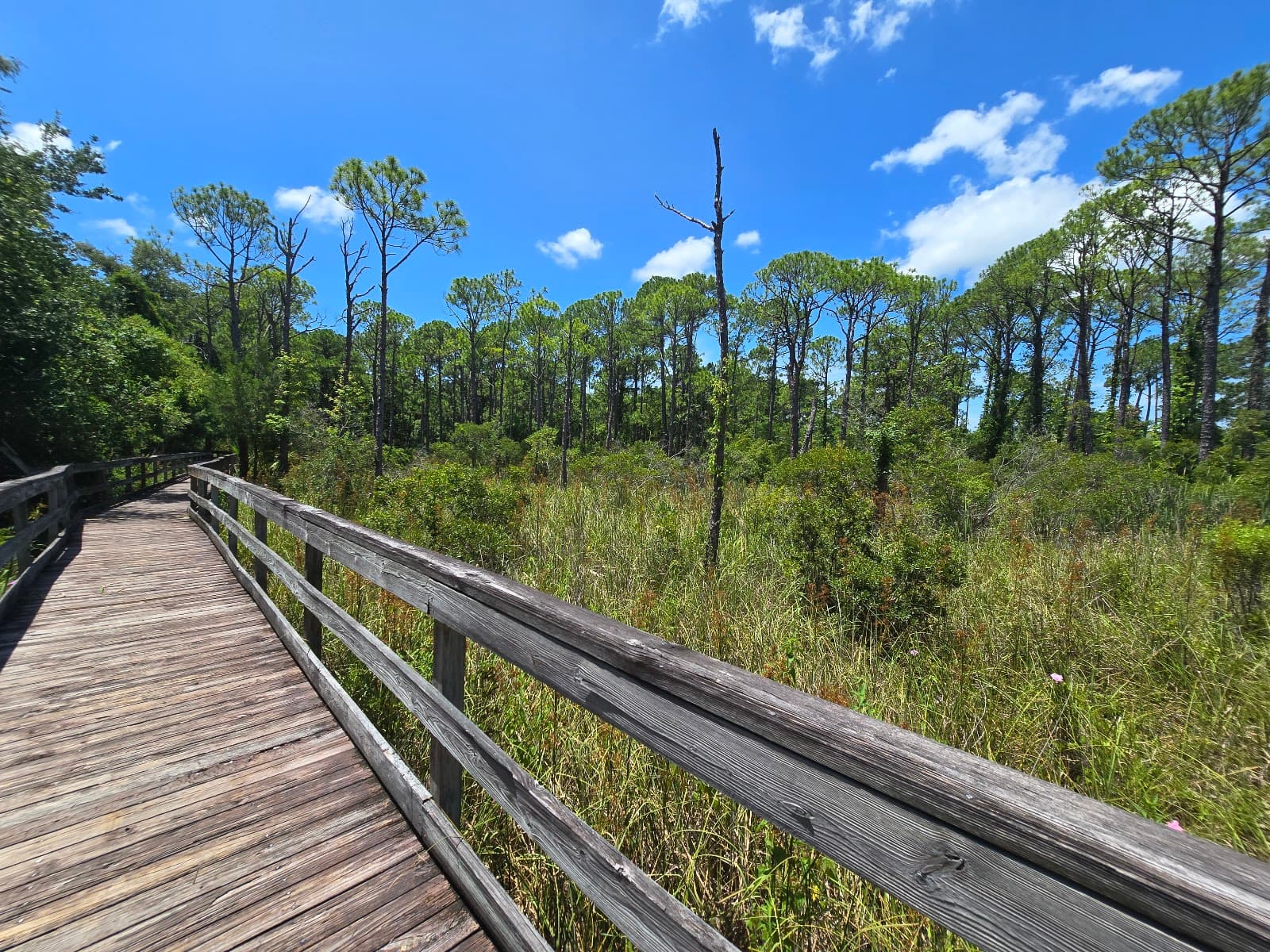 Mattie Kelly Park & Nature Walk - Image 1