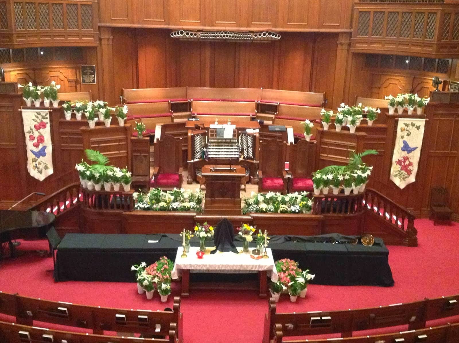 Stunning Morning Light