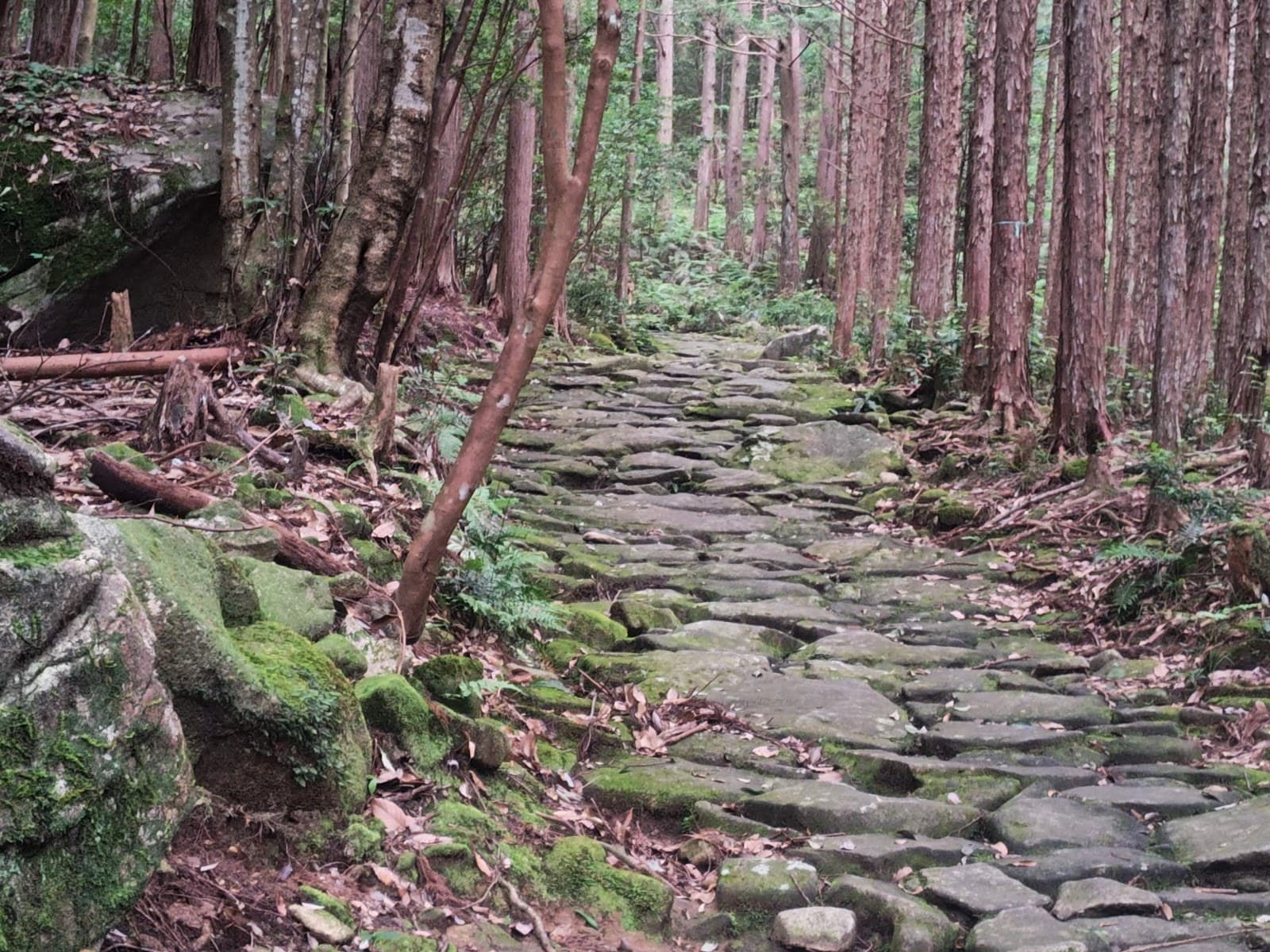 Kumano Kodo Iseji - Image 1