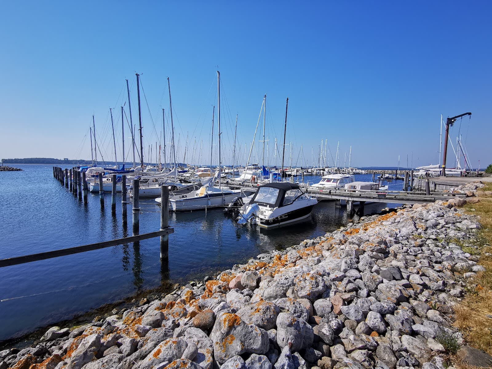 Veddelev Harbor - Image 1