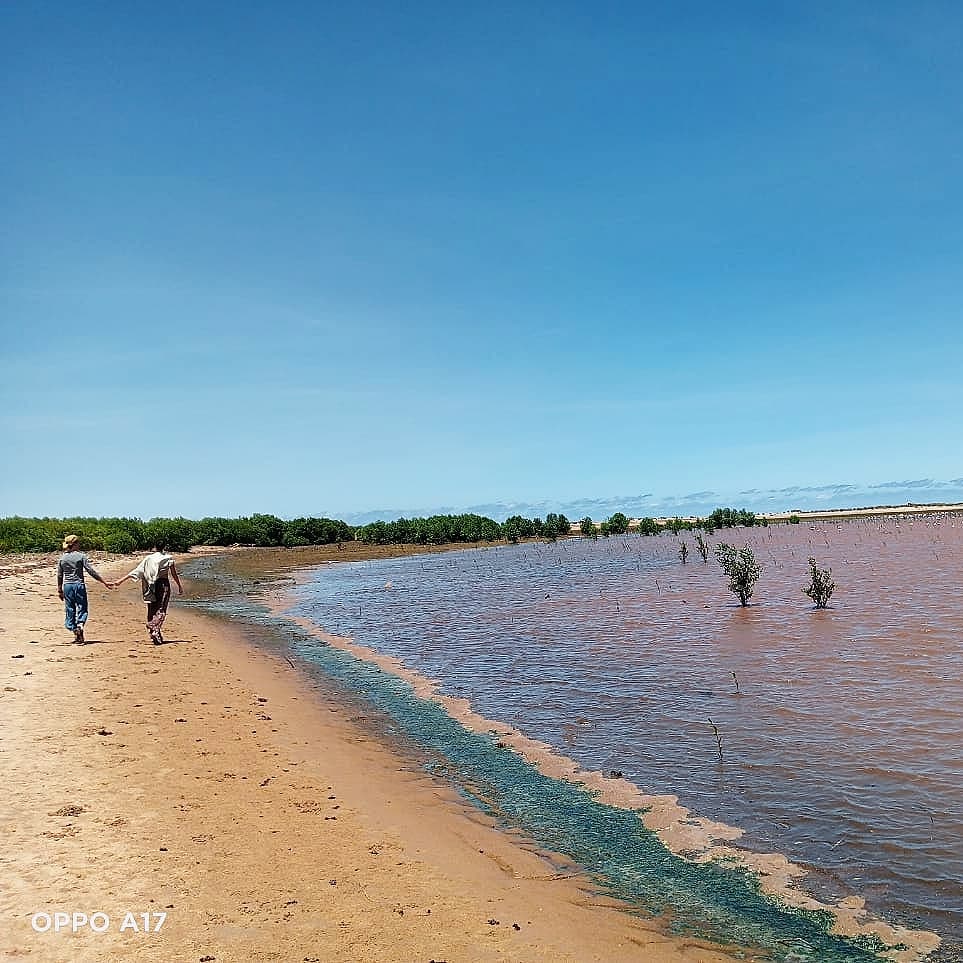 Sabaki River Estuary - Image 1