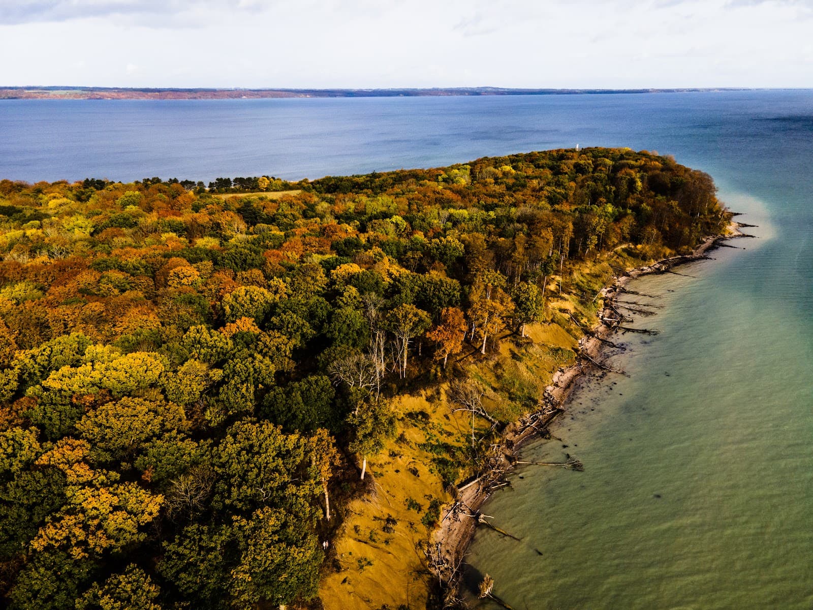Trelde Næs Nature Reserve - Image 1
