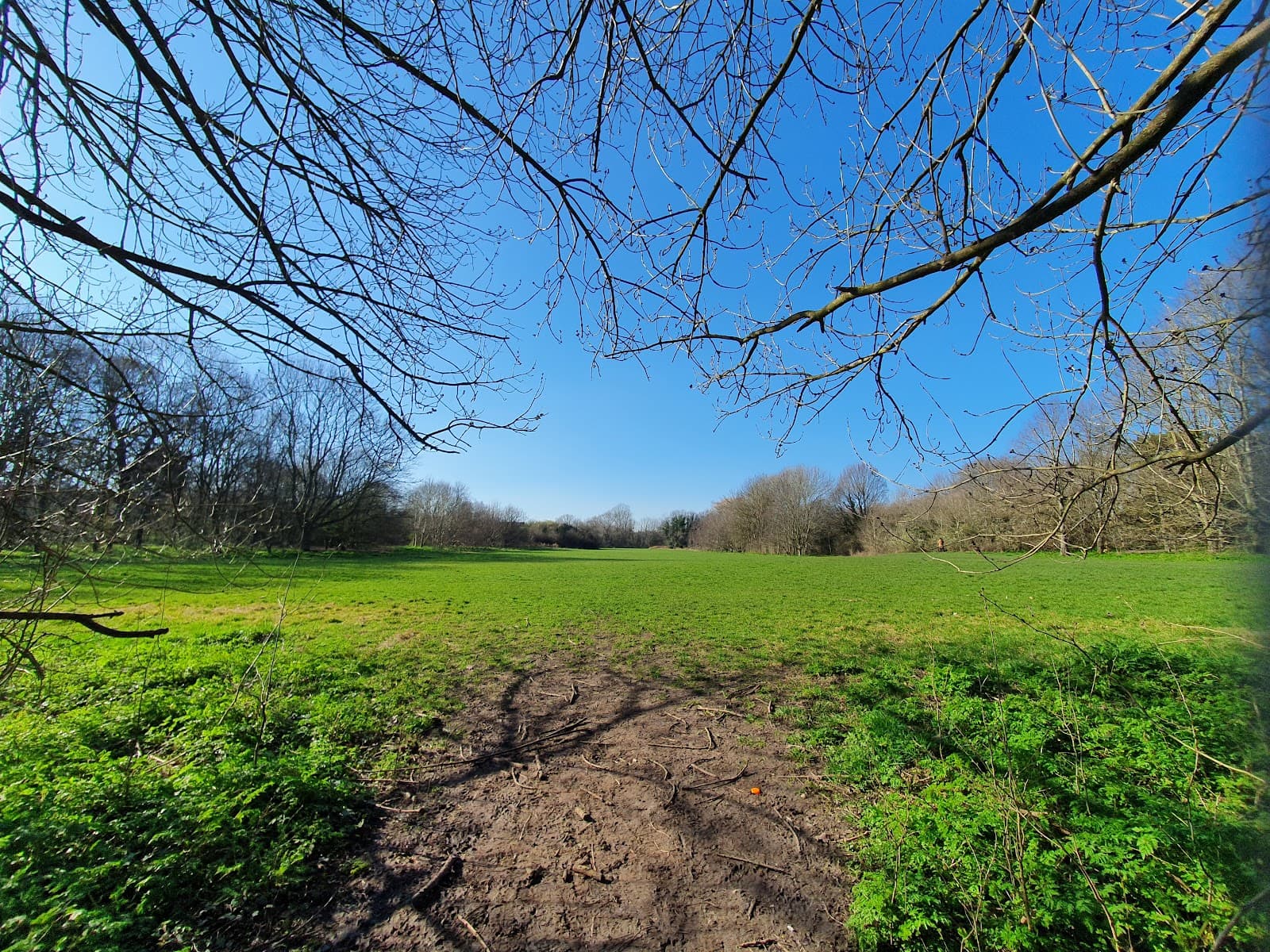 Hogsmill Local Nature Reserve - Image 1
