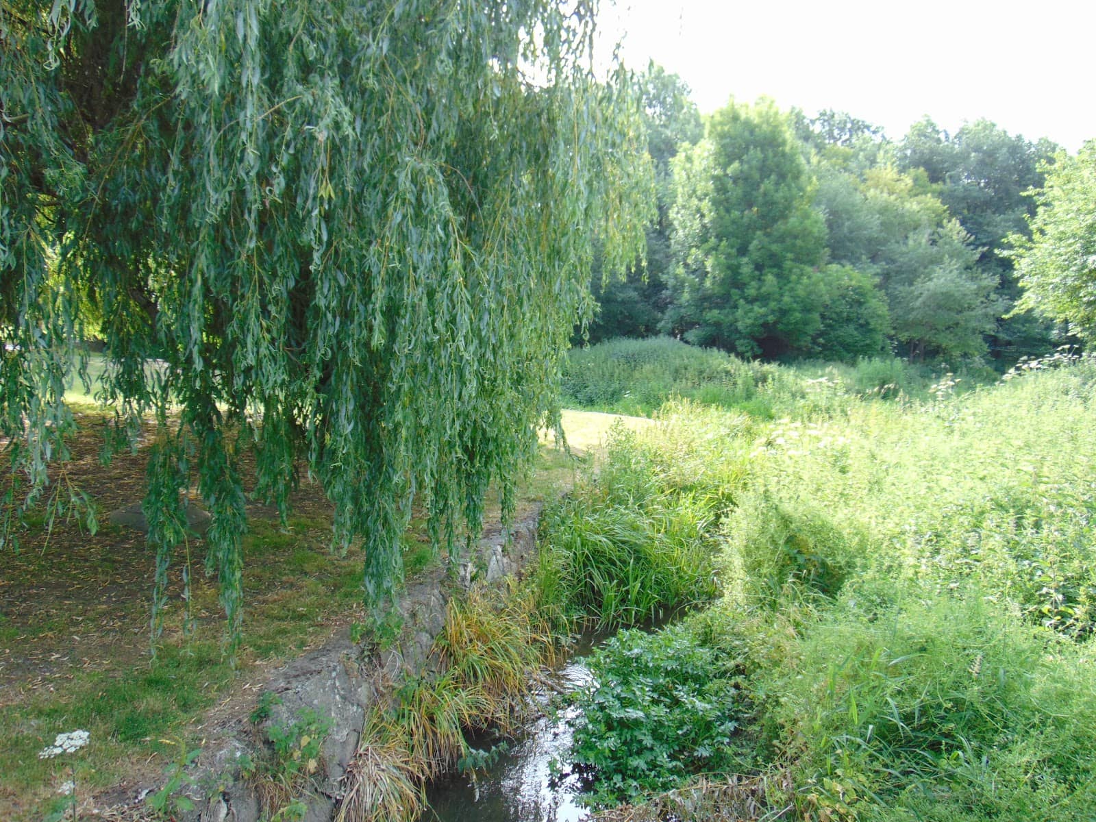 Vertical photo