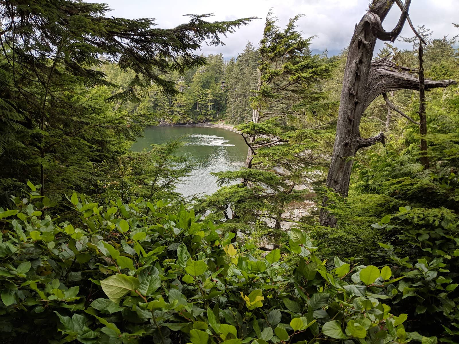 Lighthouse Trail