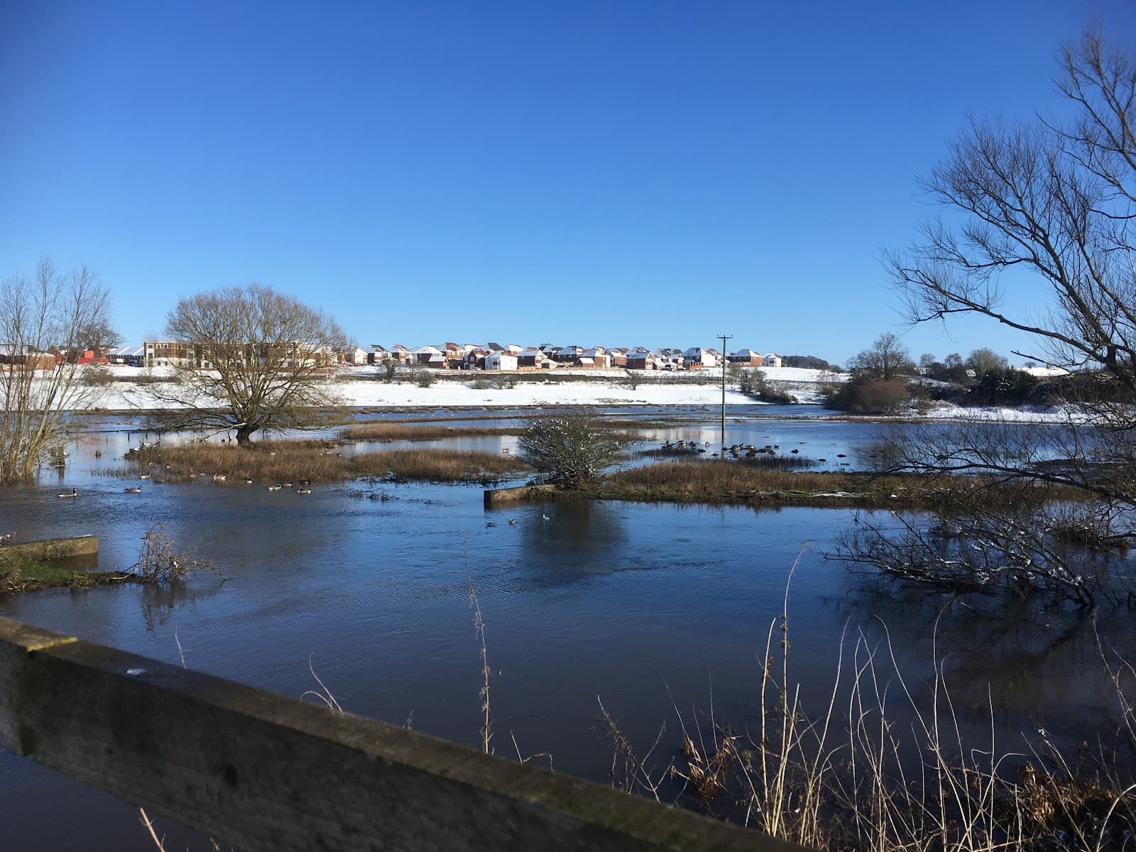 Staffordshire and Worcestershire Canal Baswich - Image 1