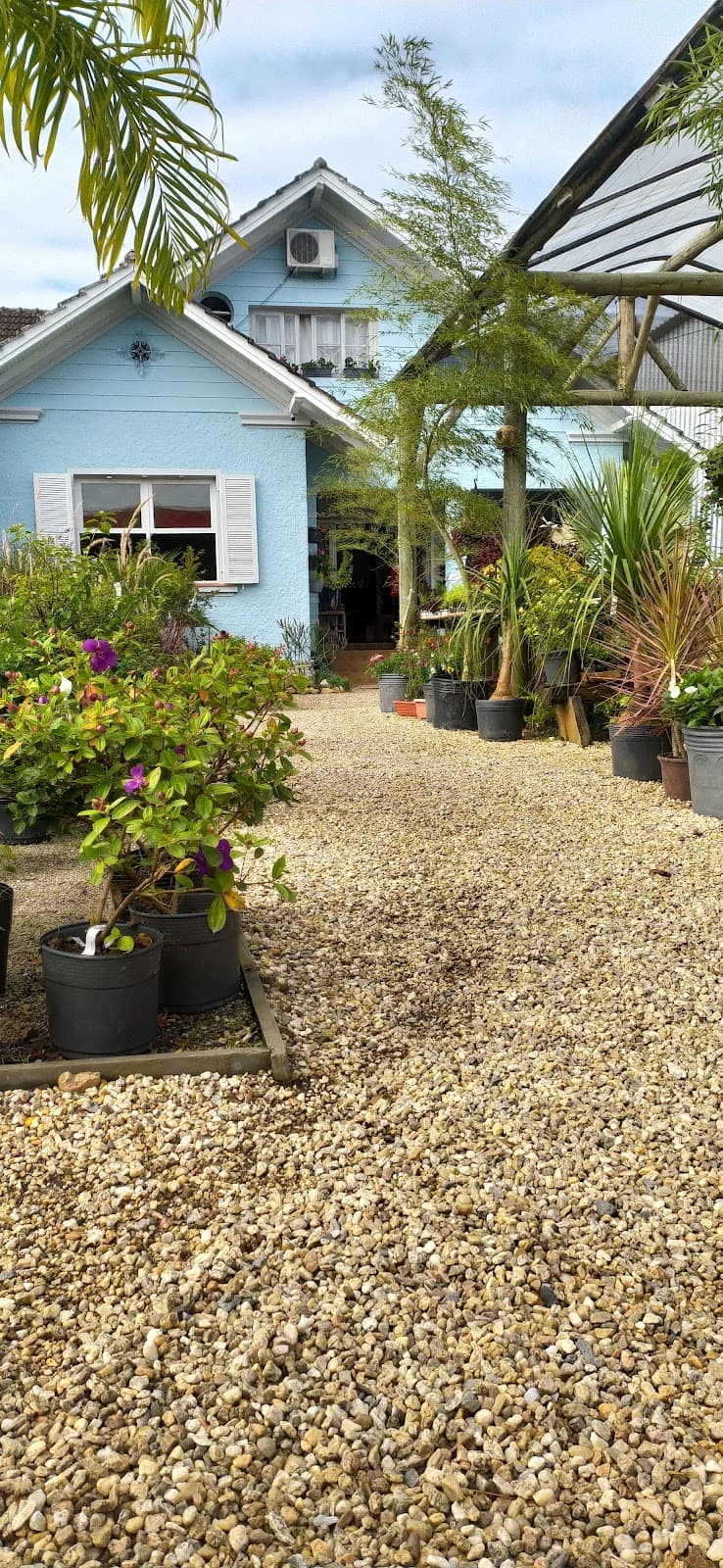 Avenida Beira Rio (Margem Direita) - Image 1