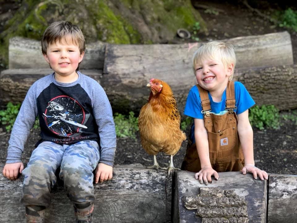 Connolly Ranch Napa California - Image 1