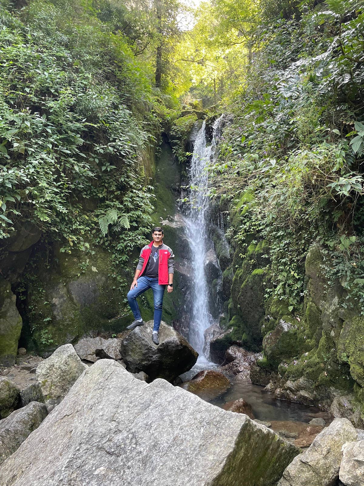 Vertical photo