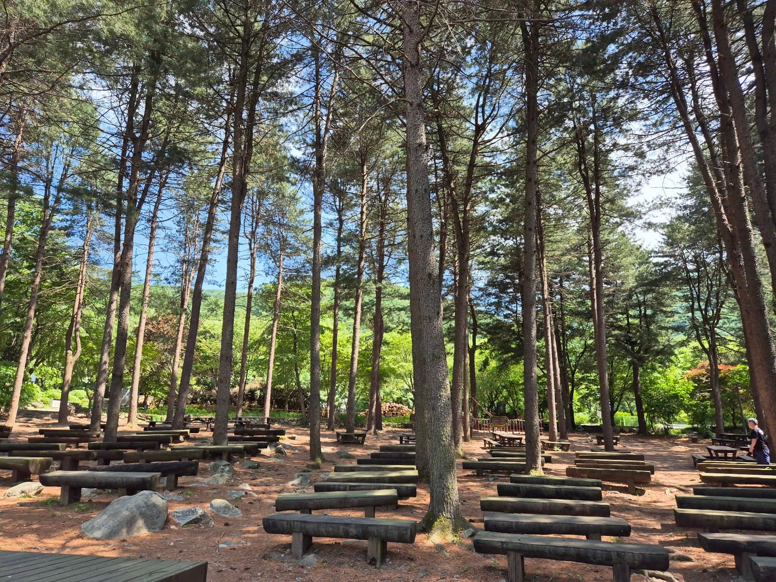 Jungmisan Natural Recreation Forest - Image 1