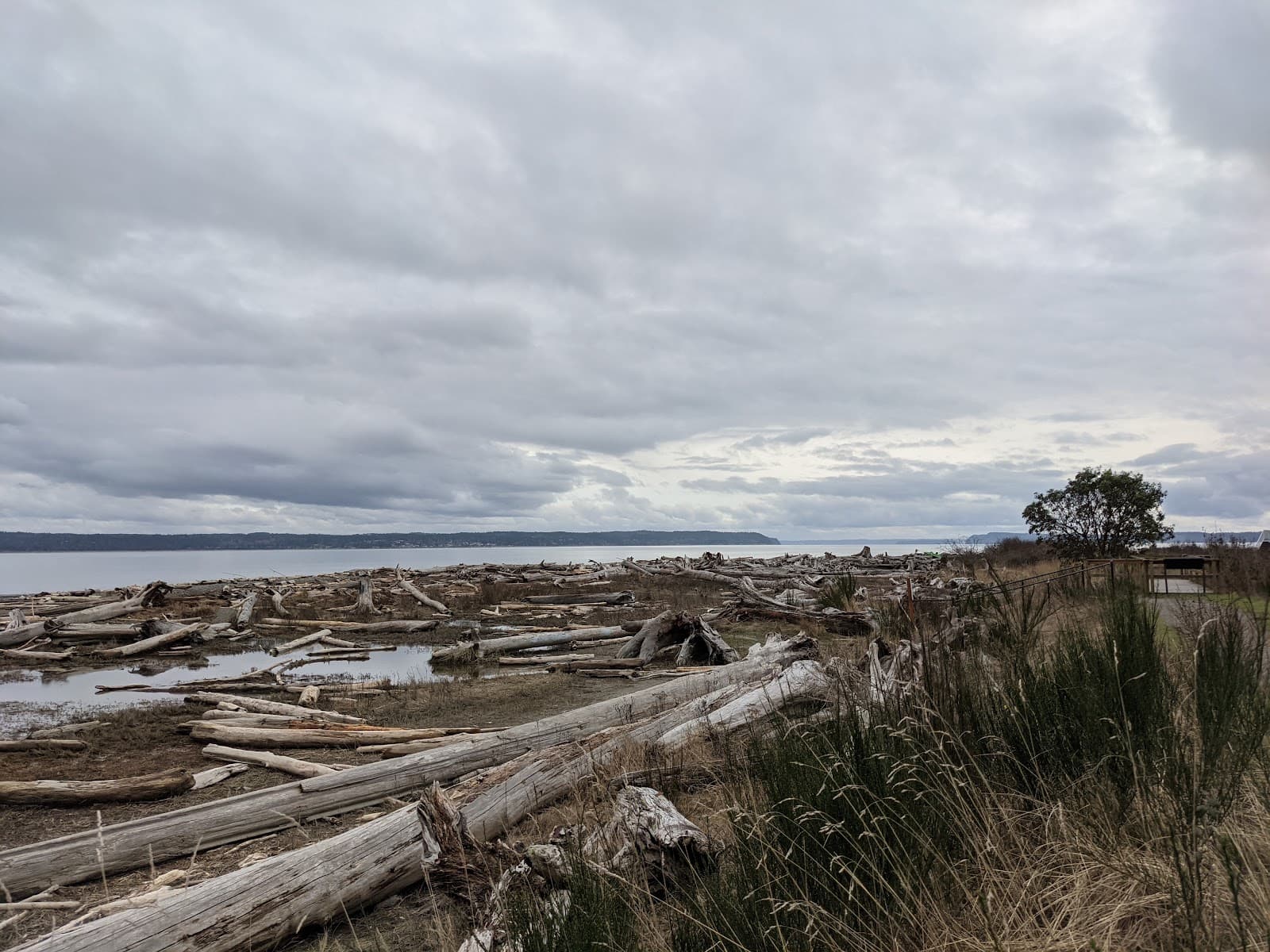 Iverson Spit Preserve - Image 1